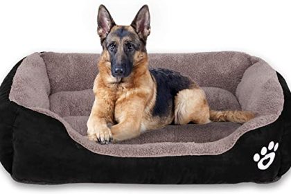 Why it is important to have a separate bed for dogs?