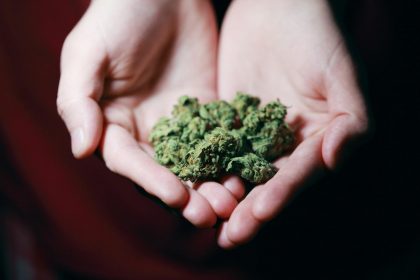 Cheefbotanicals